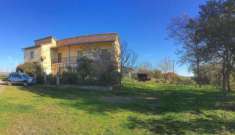 Foto A 10 km. da Pitigliano, vendiamo terreno di 45 ettari di cui 7 di bosco, 40 olivi, una piccola vigna, 40 alberi da frutto e la restante superficie sem