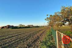 Foto Agricolo a Cesena