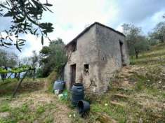 Foto Agricolo in vendita a Arcola, Trebiano