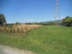 Foto Agricolo in vendita a Castelnuovo Magra