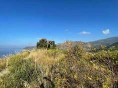 Foto Agricolo in vendita a Montecorice