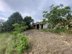 Foto Agricolo in vendita a Santa Luce