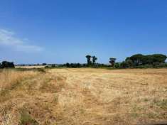 Foto Agricolo in Via Casal Sant'Angelo