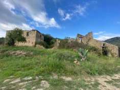 Foto Agricolo in Via Frascinelle