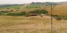 Foto Annesso agricolo in Vendita, 2 Locali, 40 mq (CINIGIANO)