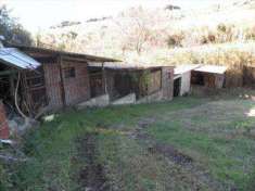 Foto Annesso agricolo in Vendita, 90 mq (ROSIGNANO MARITTIMO ROSIGNAN