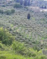 Foto Annesso agricolo in vendita a Colle - Quarrata 2500 mq  Rif: 1271384