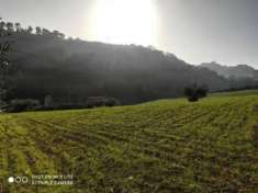 Foto Appartamento in vendita a Massignano