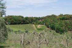 Foto AZIENDA AGRICOLA di 1000 mq (GAMBASSI TERME) rif. G 960