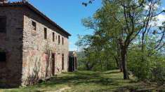 Foto Azienda agricola in Vendita, 1 Locale, 1200 mq (LAJATICO ORCIATI