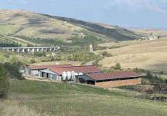 Foto Azienda agricola in Vendita, 3 Locali, 851290 mq (RADICOFANI)