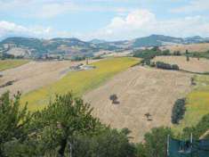 Foto Azienda agricola in Vendita, 650400 mq (ARCEVIA)