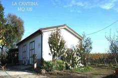 Foto Azienda agricola in Vendita, pi di 6 Locali, 310 mq (ROCCASTRAD