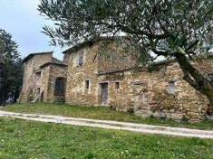 Foto Azienda Agricola in Vendita, pi di 6 Locali, 700 mq, Assisi