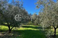 Foto Azienda agricola in vendita a Bomarzo - 2 locali 60mq