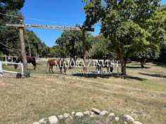 Foto Azienda Agricola in vendita a Cupra Marittima