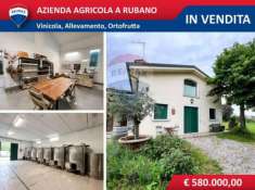 Foto Azienda agricola in vendita a Rubano - 5 locali 325mq