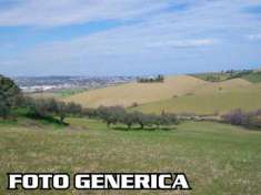 Foto Azienda agricola in Vendita a San Giuliano Terme