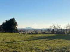 Foto Casa indipendente in vendita a Montefiascone