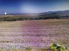 Foto Casa indipendente in vendita Toscana  