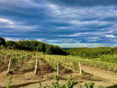 Foto Casale in vendita a Cecina