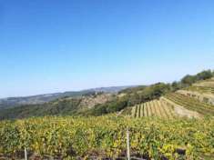 Foto Casale in vendita a Greve in Chianti, Lamole