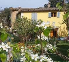 Foto Casale in vendita a Rapolano Terme