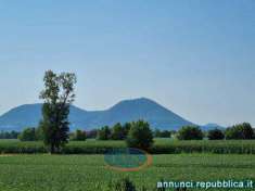 Foto CASTEGNERO (VI): In località Villaganzerla, in