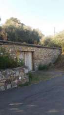 Foto Diano Castello (IM) Ampio magazzino agricolo di 60 mq. ca. con terreno.