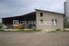 Foto Fabbricati per attivit  agricole di 1251 mq  in vendita a Circello - Rif. 4487149