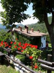 Foto Garessio villa immersa nel verde con bellissimo terreno