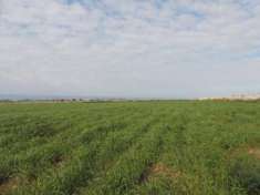 Foto Lotto Agricolo a Marina di Ragusa