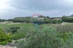 Foto Rif30721617-23 - Terreno Agricolo in Vendita a Caltagirone di 210000 mq