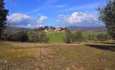 Foto Rustico casale in Vendita, 1 Locale, 6 Camere, 460 mq (RIPARBELL