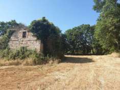 Foto Rustico in vendita a Lugnano in Teverina