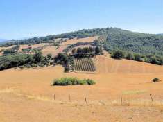 Foto Rustico in vendita a Magliano In Toscana - 7 locali 500mq