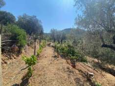 Foto Rustico in vendita a Monte Argentario, Porto Santo Stefano - Campone