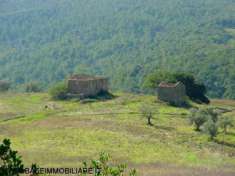 Foto Rustico in vendita a Pomarance - 15 locali 600mq