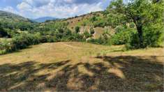 Foto Rustico/Casale in Vendita, 1 Locale, 63000 mq, Monte San Giovann