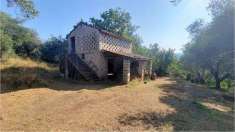 Foto Rustico/Casale in Vendita, 3 Locali, 15000 mq, Monte San Giovann