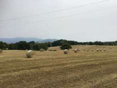 Foto Terreni agricoli Lazio - Roma sud * Palestrina-Valmontone-Labico