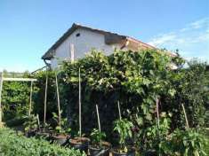 Foto Terreno agricolo 1ha con annesso 26mq circa