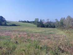 Foto Terreno agricolo