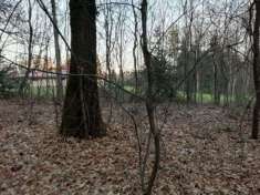 Foto Terreno agricolo-boschivo, Casorate Sempione