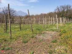 Foto Terreno agricolo di 1300mq in Via provinciale  a Manocalzati