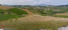 Foto Terreno agricolo di 20000mq a Acquaviva Picena