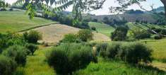 Foto Terreno Agricolo in Vendita, 1 Locale, 10032 mq, Osimo