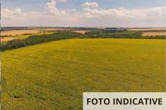 Foto Terreno Agricolo in Vendita, 1 Locale, 1065 mq, Brisighella