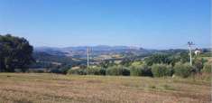 Foto Terreno Agricolo in Vendita, 1 Locale, 2500 mq, Todi