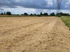 Foto Terreno Agricolo in Vendita, 1 Locale, 6113 mq, Monsummano Terme